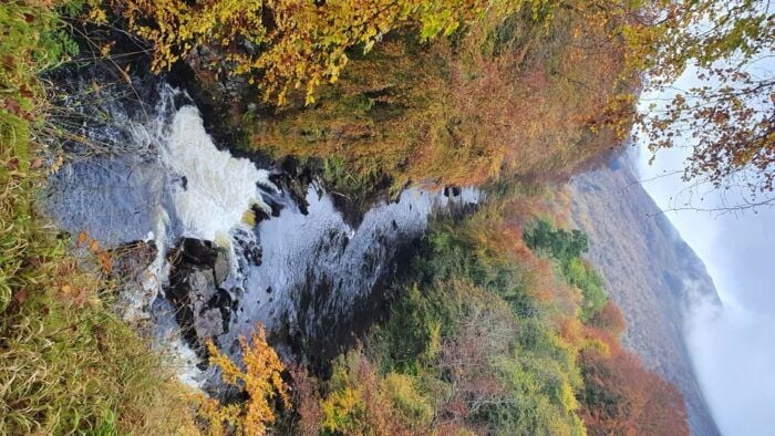 From Edinburgh: a Private Tour to a Majestic Highland Glen - Real Traveler Insights