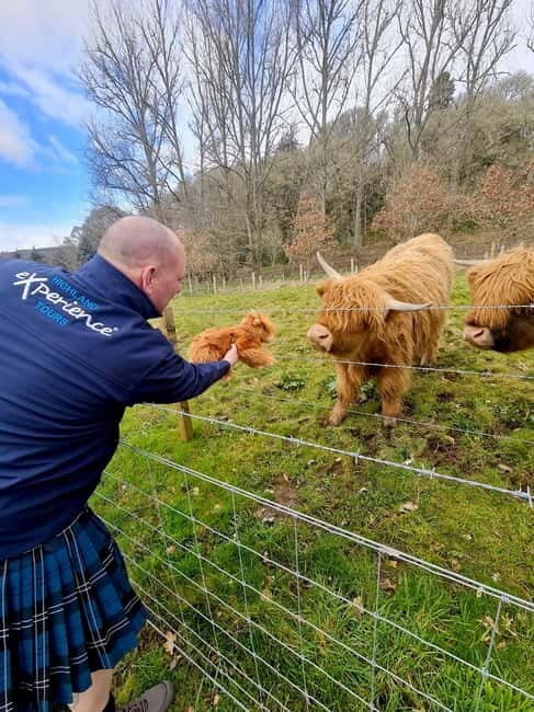 From Edinburgh: Glenfinnan, Fort William and Highland Cows - FAQ