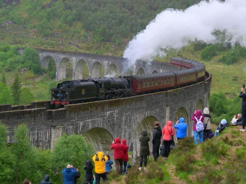 From Edinburgh: Glenfinnan, Fort William and Highland Cows - In The Sum Up