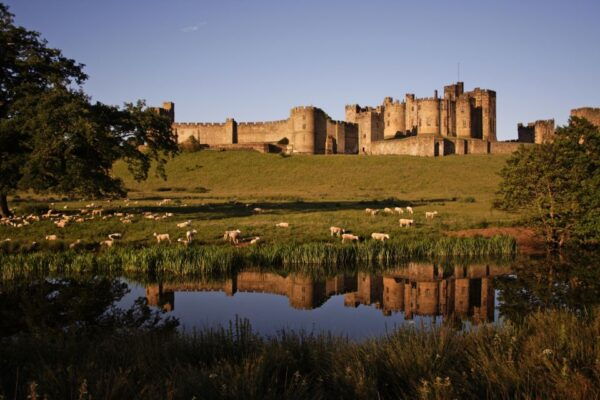 From Edinburgh: Holy Island, Alnwick Castle & Northumbria - Common Questions