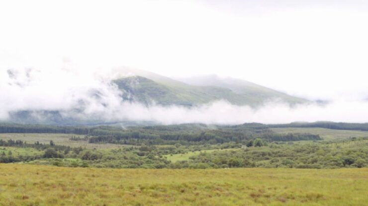From Edinburgh: Loch Ness and Highlands Tour - Experience Highlights