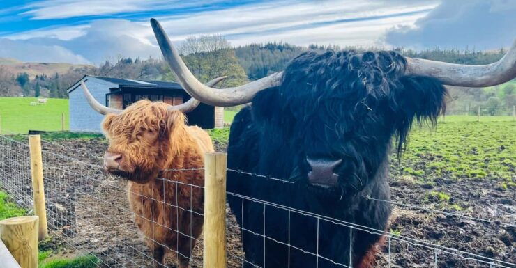 From Edinburgh: Loch Ness, Glencoe & The Highlands Day Trip - Good To Know