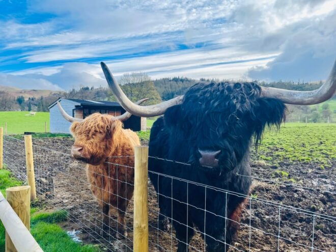 From Edinburgh: Loch Ness, Glencoe & The Highlands Day Trip - Transportation and Amenities
