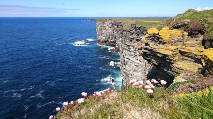 From Edinburgh: Orkney and The Far North 5-Day Tour - Tour Overview