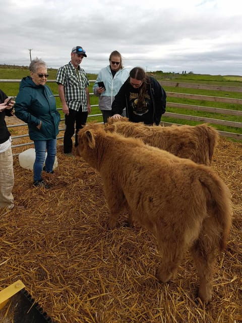 From Edinburgh: Scottish Highlands Full-Day Tour - Highland Cows and Whisky