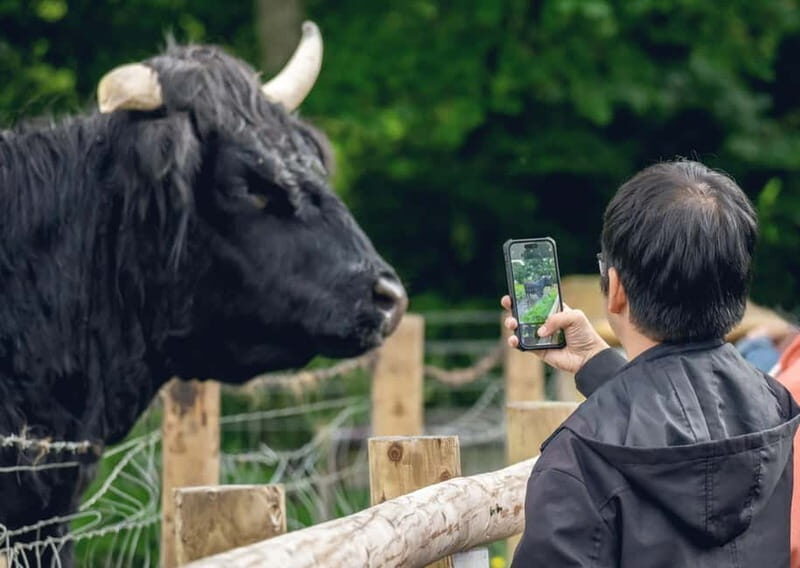 From Edinburgh: Stirling Castle, Kelpies and Loch Lomond - Good To Know