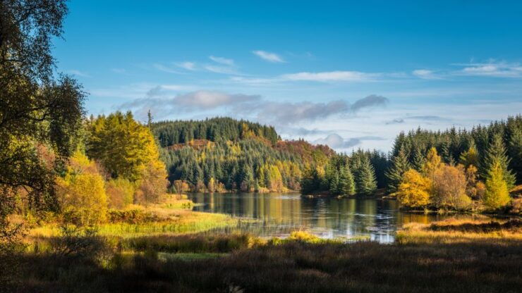 From Edinburgh: Stirling Castle, Kelpies and Loch Lomond - Stirling Castle History