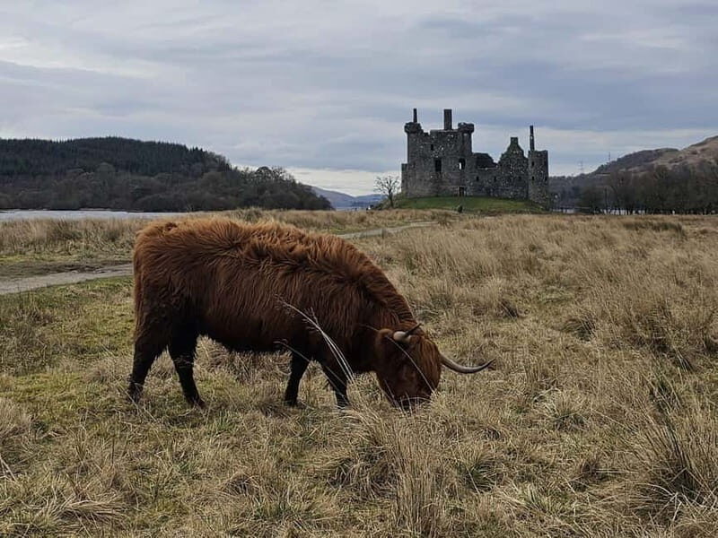 From Edinburgh: West Highlands Luxury Private Day Tour - Detailed Breakdown of the Itinerary