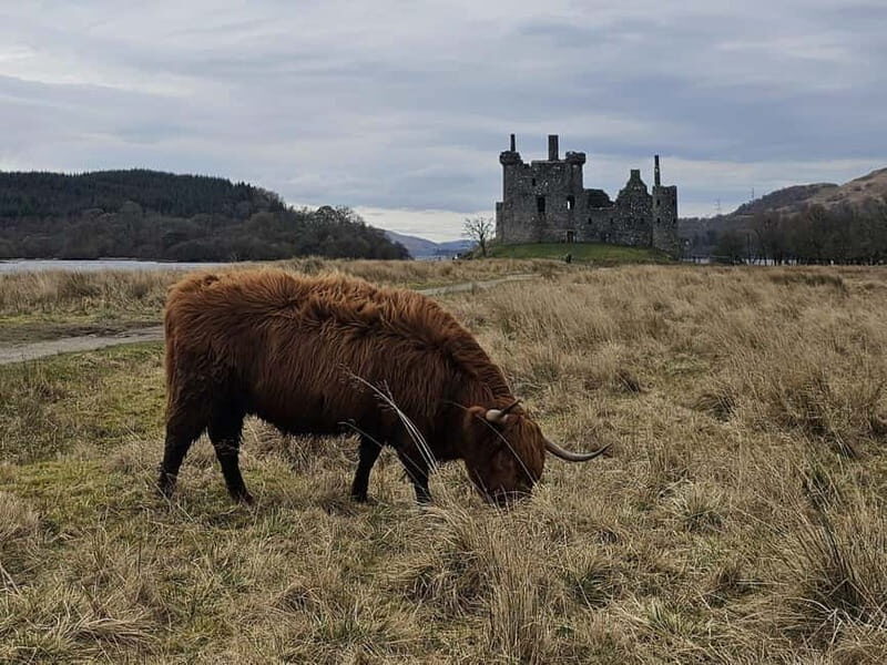 From Edinburgh: West Highlands Luxury Private Day Tour - FAQ