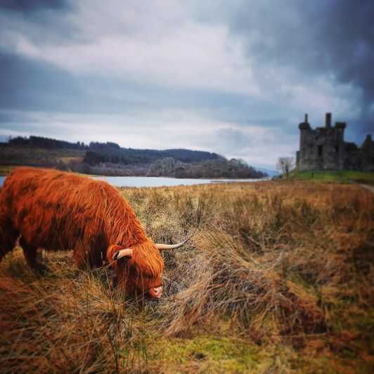 From Edinburgh:The West Highlands, Oban and Glencoe Day Tour - Good To Know