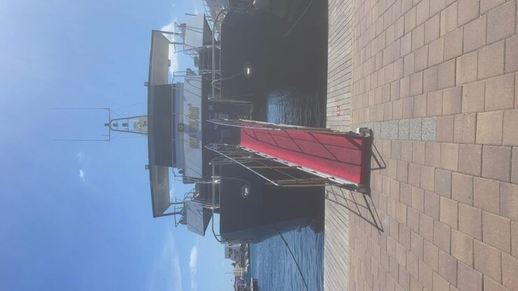 From Eivissa: Catamaran Cruise With Free Time in Formentera - Booking Details