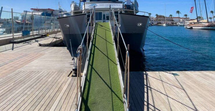 From Eivissa: Catamaran Cruise With Free Time in Formentera - Experience Itinerary