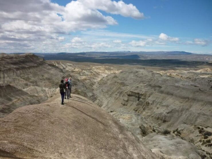 From El Calafate: La Leona Petrified Forest Day Trip - Good To Know