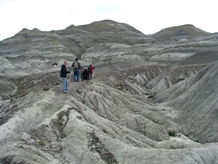 From El Calafate: La Leona Petrified Forest Tour - Cancellation Policy and Reservation Flexibility