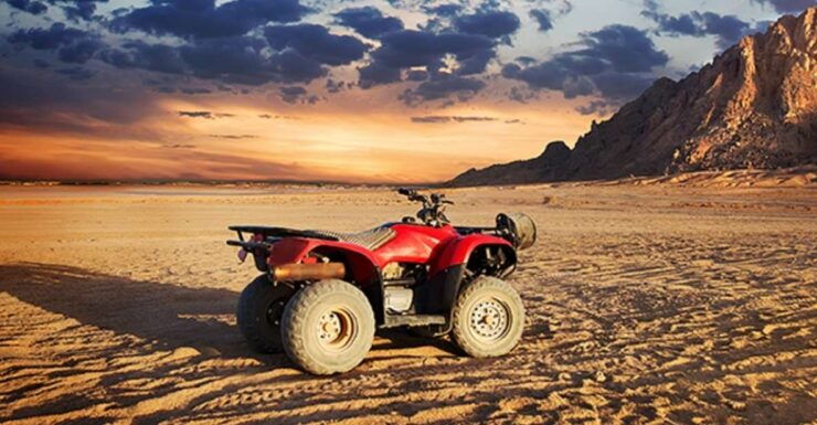 From EL Gouna: ATV Quad Safari, Bedouin Village & Camel Ride - Tour Highlights