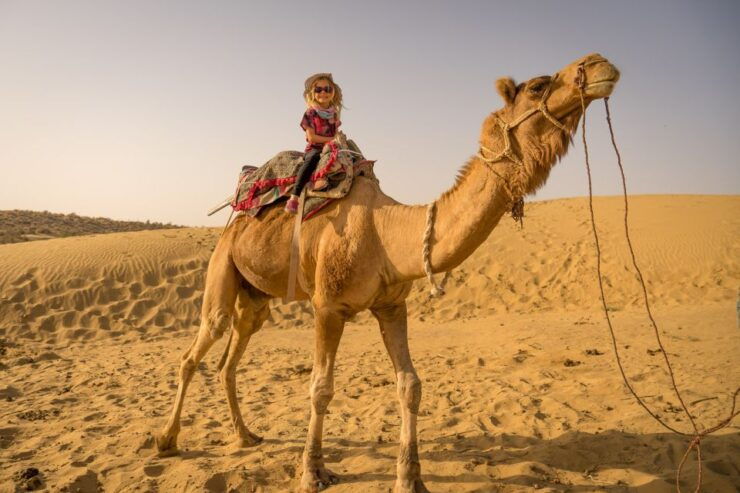 From EL Gouna: ATV Quad Safari, Bedouin Village & Camel Ride - Activity Details