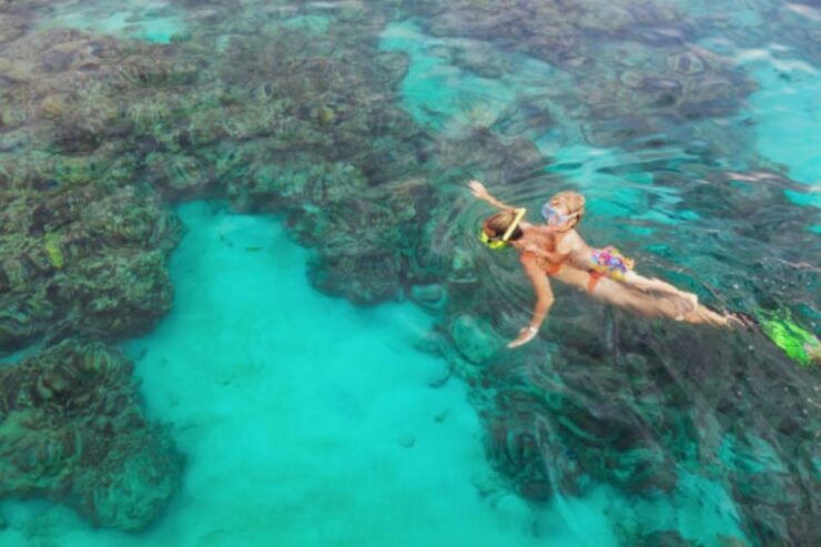 From El Gouna: Empire Semi Submarine Trip With Snorkeling - Trip Highlights