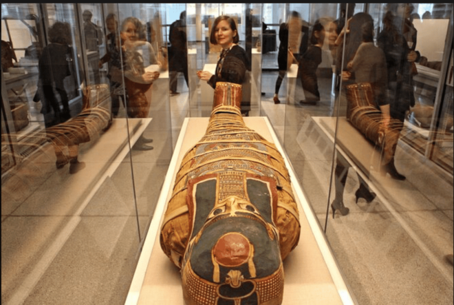 From El Gouna: Full Day Private Tour to Cairo Egypt - Tour Features