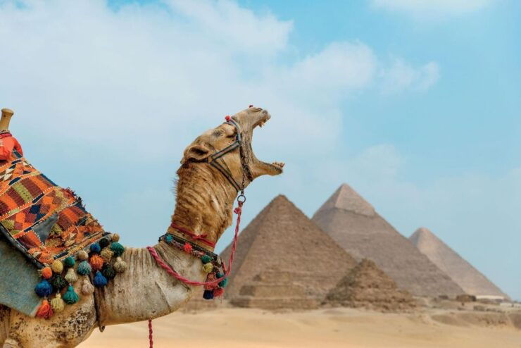 From El Sokhna Port: Tour to Pyramids, Citadel & Bazaar - Tour Duration and Starting Times