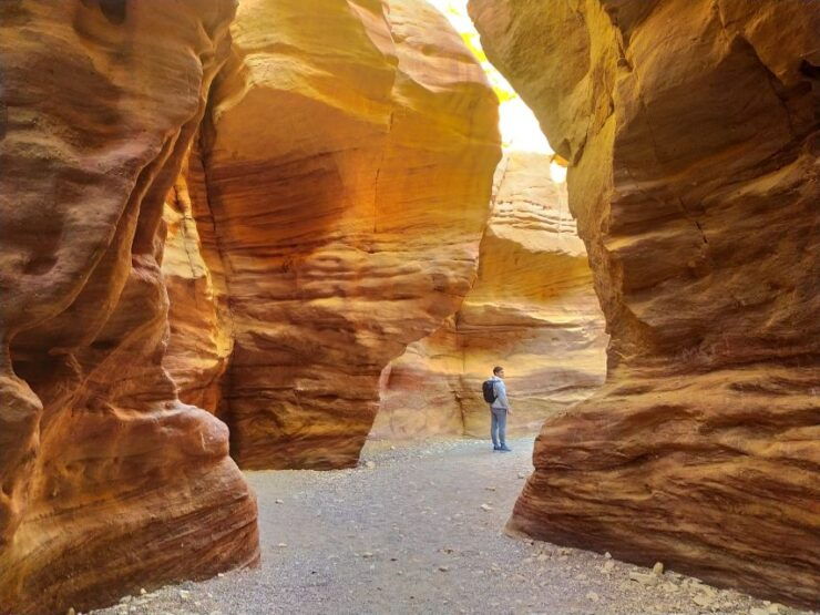 From Eliat: Red Canyon Guided Tour - Tour Experience