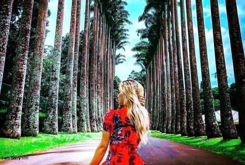 From Ella: 2-Day Tour to Nuwara Eliya and Kandy with Drop - FAQ