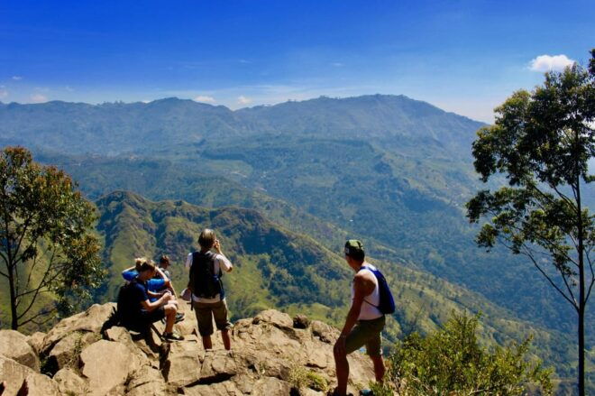 From Ella- All Inclusive Day Trip of 8 Iconic Sights & Train - Customer Feedback and Ratings
