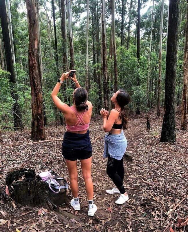 From Ella- All Inclusive Day Trip to Experience Ella & Train - Who Will Love This Tour?