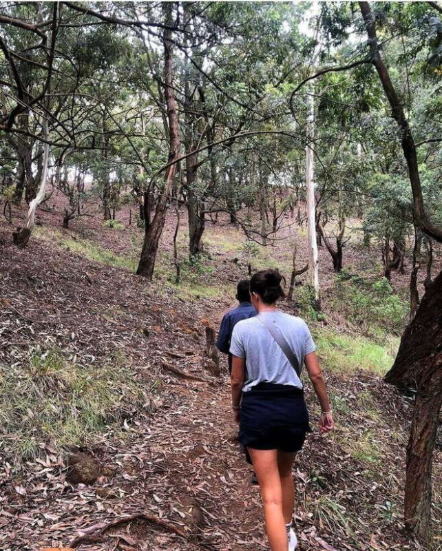 From Ella- All Inclusive Day Trip to Experience Ella & Train - Final Thoughts