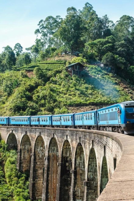 From Ella - Day Trip of 8 Iconic Sights & Scenic Train Ride - Customer Experience