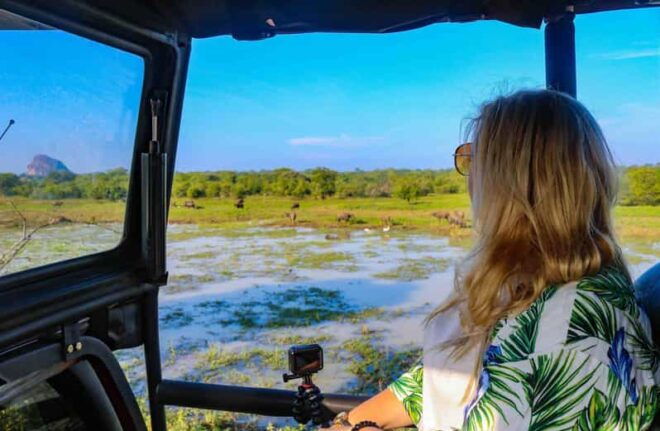 From ELLA: Drop off AHUNGALLA/BENTOTA & YALA Safari Tour - Transfer and Itinerary