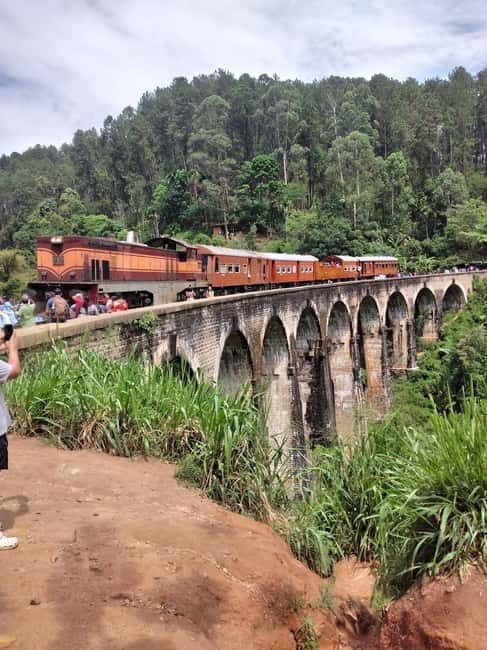 From Ella: Ella Unfogettable Day tour & Train Ride Tour - Authentic Experiences & What Travelers Say