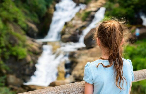 From Ella: Explore 05 Highlights of Ella in One Day - Little Adams Peak Hike