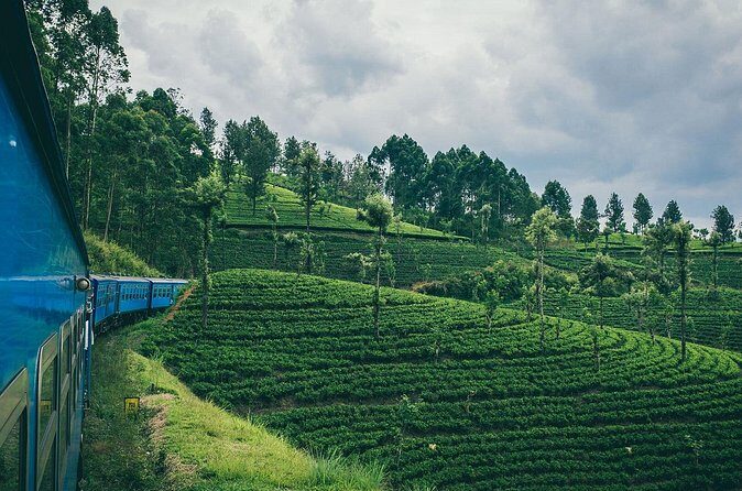 From Ella: First Class Scenic Train Ticket to Kandy - Final Thoughts