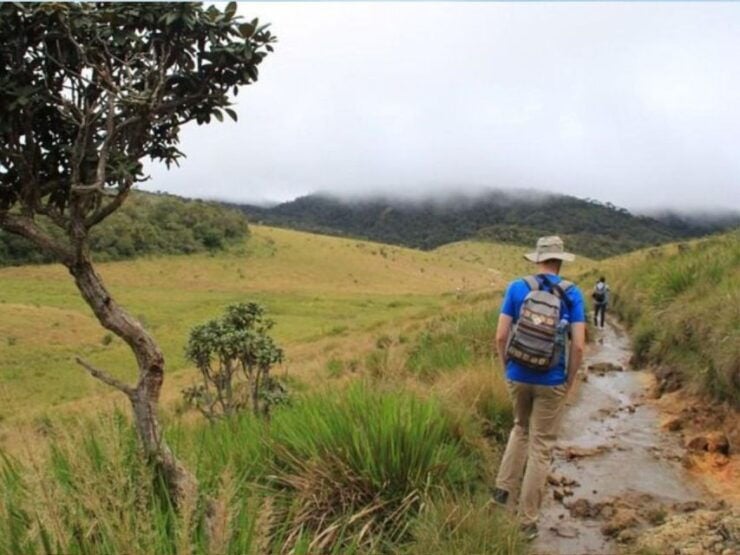 From Ella: Horton Plains Trekking & Tea Factory Visit - Activity Details
