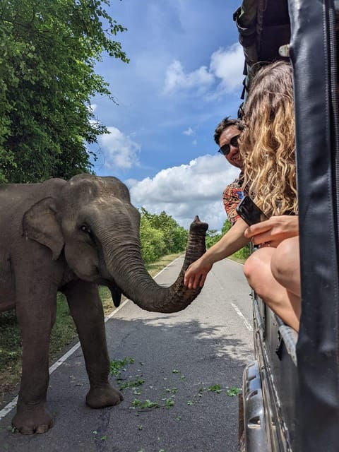 From Ella : Kumana National Park Safari Jeep Tour (5 H) - Safari Experience Highlights