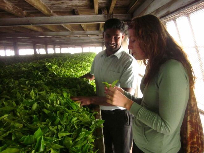 From Ella: Lipton Seat & Dambatenne Tea Factory Day Tour - Directions