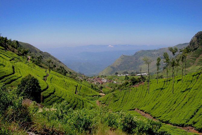 From Ella: Lipton Seat & Dambetenna Tea Factory Private Day Trip - FAQs