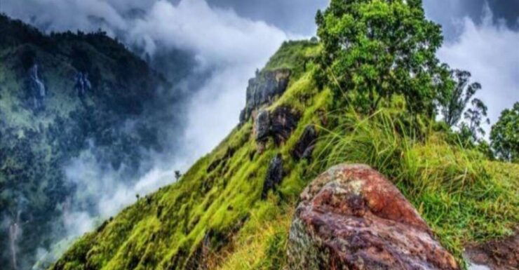 From Ella :- Little Adam'S Peak & 9 Arch Bridge Tour - Highlights of the Tour