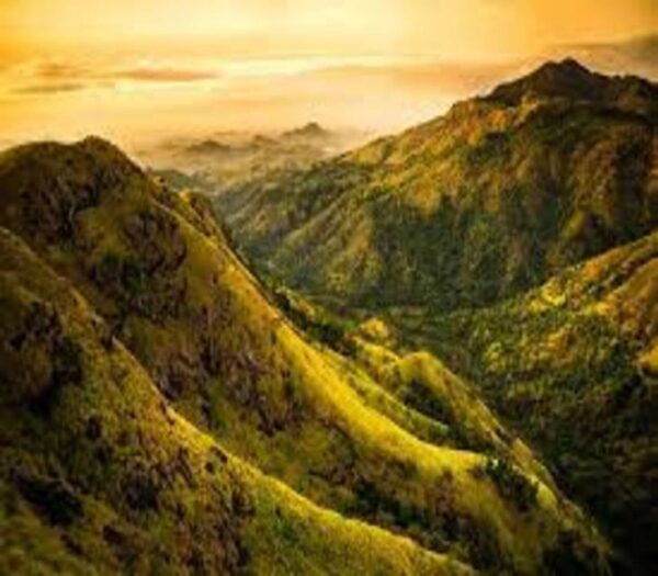 From Ella :- Little Adam'S Peak & 9 Arch Bridge Tour - The Sum Up
