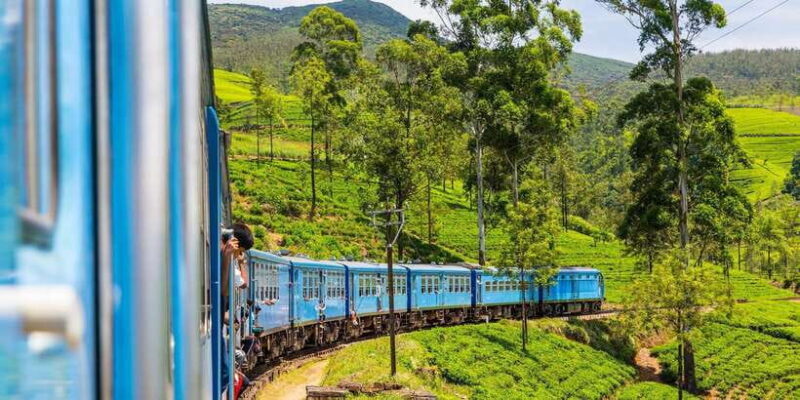 From Ella or Bandarawela: Adisham Hall Senic Train Journey - Whats Included and What to Consider