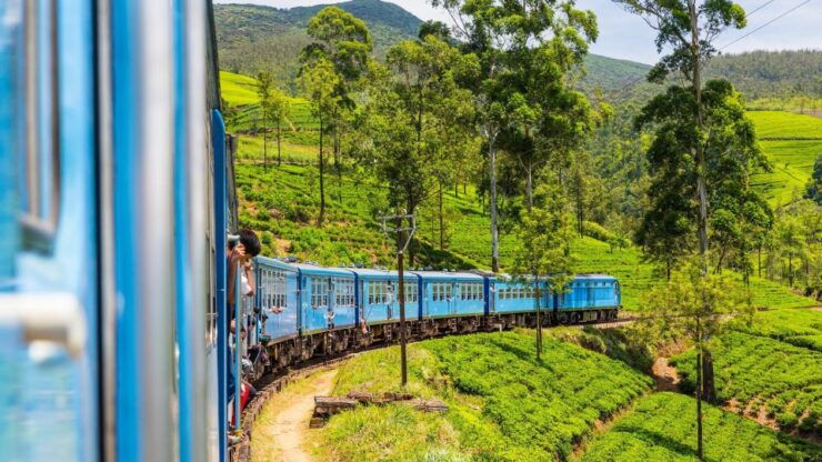 From Ella or Bandarawela: Adisham Rail All-Inclusive Tour - Activity Details