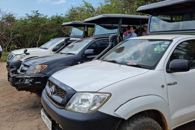 From Ella: Private Yala Safari & Transfer/Tangalle/Mirissa/Galla - FAQ