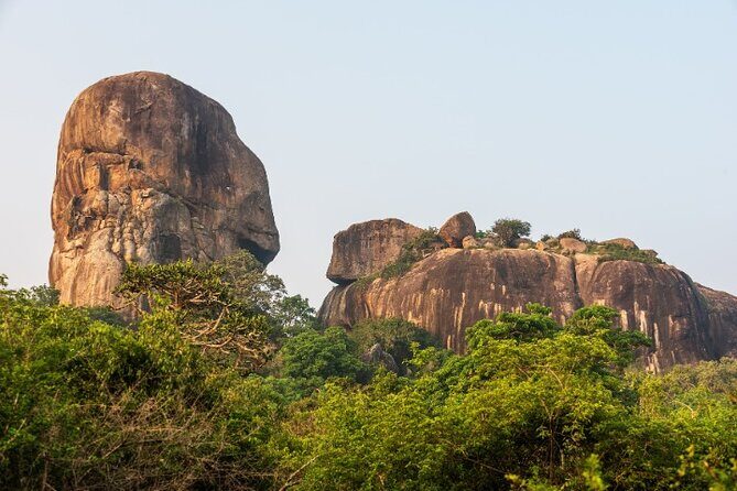 From Ella: Private Yala Safari & Transfer/Tangalle/Mirissa/Galla - What about the reviews?