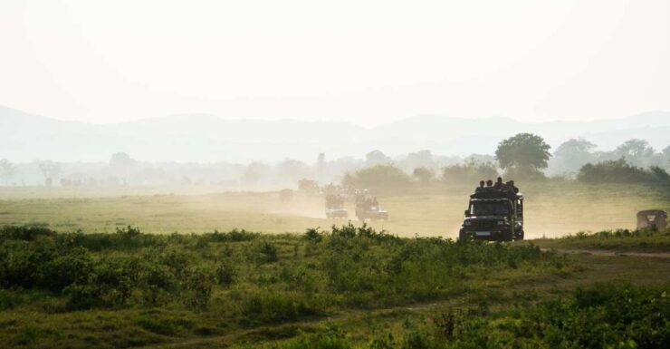 From Ella: Shuttle to Mirissa/Galle With Udawalawe Safari - Activity Details