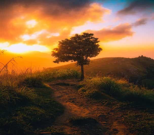 From Ella - Sunrise Adventure Little Adams Peak Expedition - Good To Know