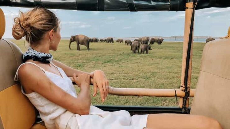 From ELLA to ARUGAM-BAY Transfer With YALA Safari Tour - Good To Know