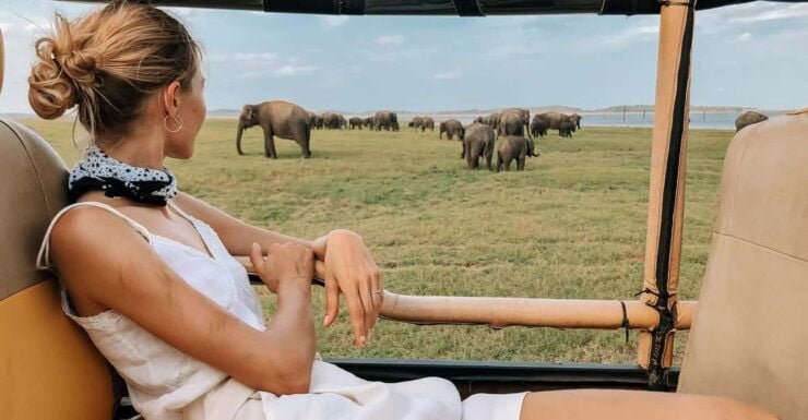 From ELLA to ARUGAM-BAY Transfer With YALA Safari Tour - Yala National Park Highlights