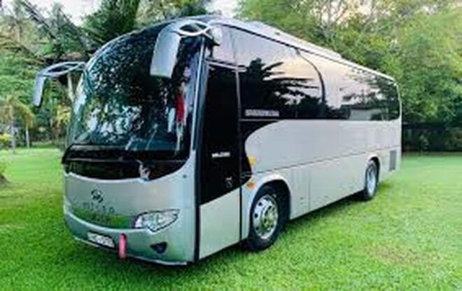 From : Ella To Tissamaharama/Yala/Kataragama Privet Transfer - Vehicle Comfort and Features