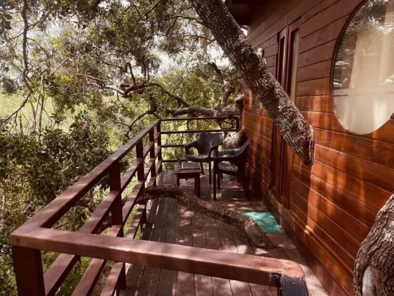 From Ella to Yala National Park Safari with Tree House Stay - The Second Safari & Departure to the Coast