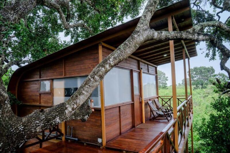 From Ella to Yala National Park Safari with Tree House Stay - FAQ
